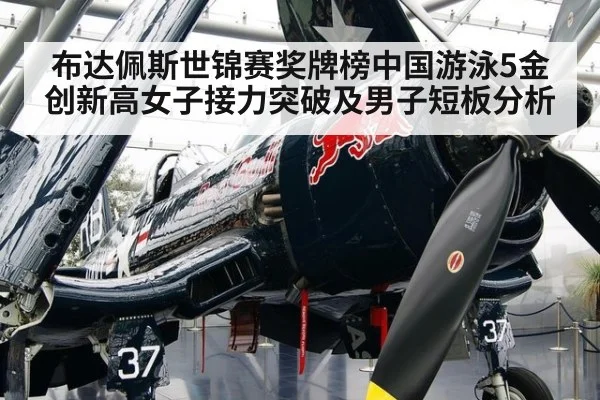 布达佩斯世锦赛奖牌榜中国游泳5金创新高女子接力突破及男子短板分析